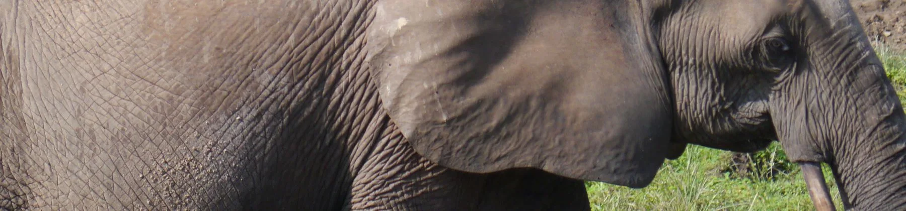 Central African Republic travel inspiration