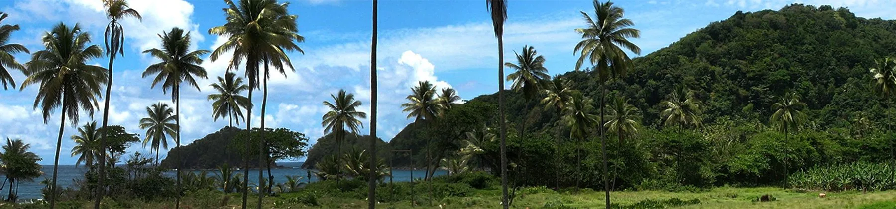 Dominica travel inspiration