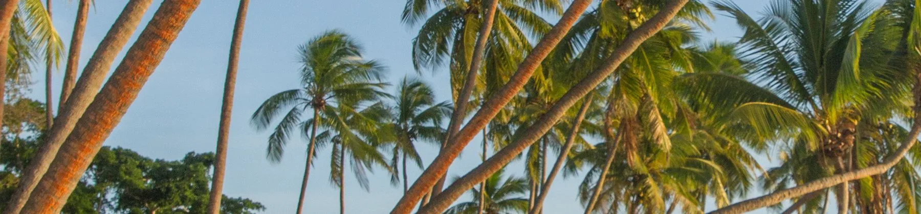 Fiji travel inspiration