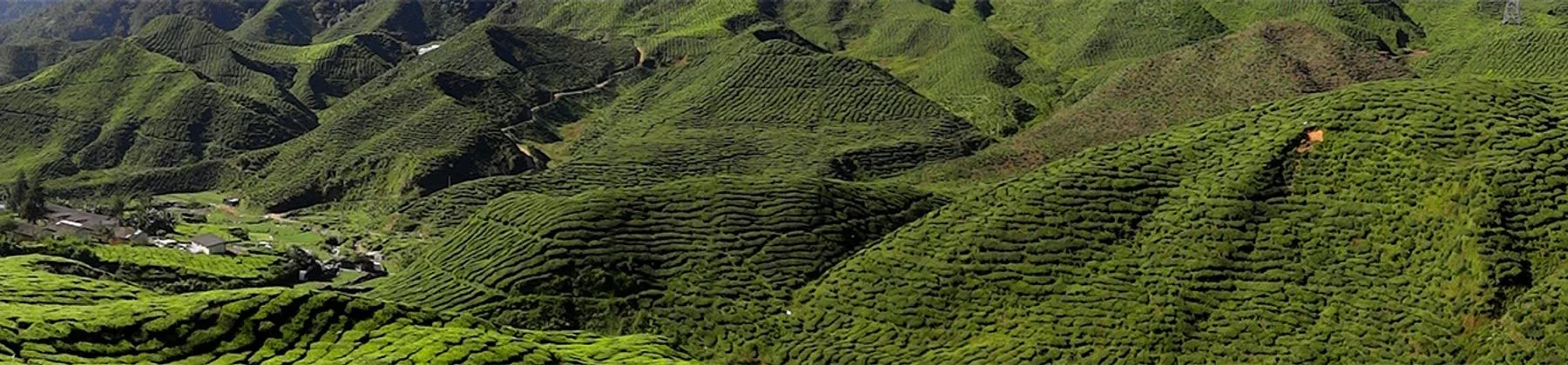 Malaysia travel inspiration