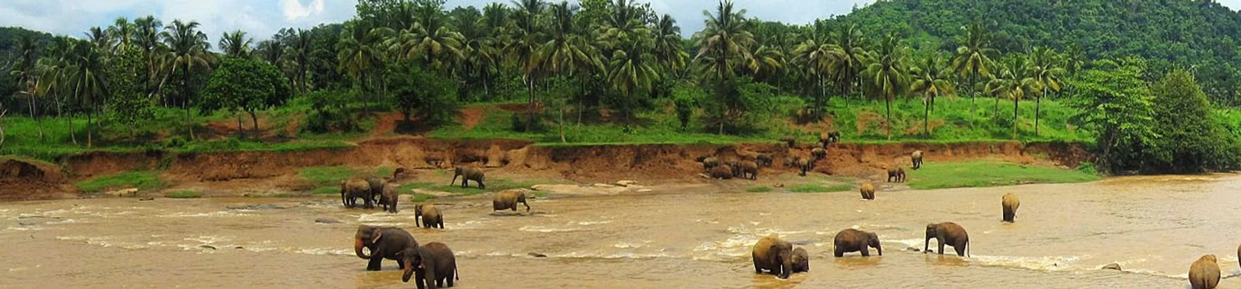 Sri Lanka travel inspiration