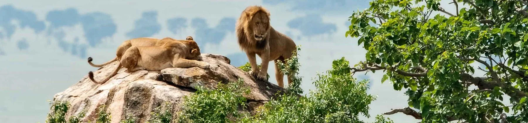 Uganda travel inspiration