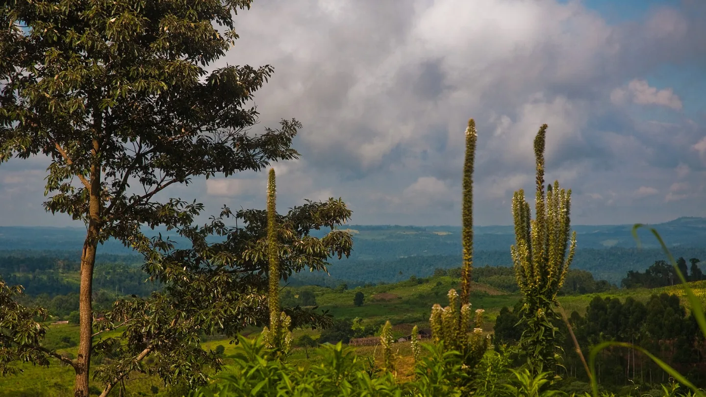 Misiones, Argentina travel banner