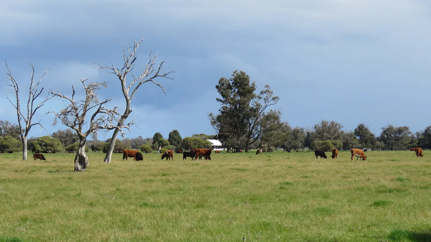 Western Australia, Australia travel banner