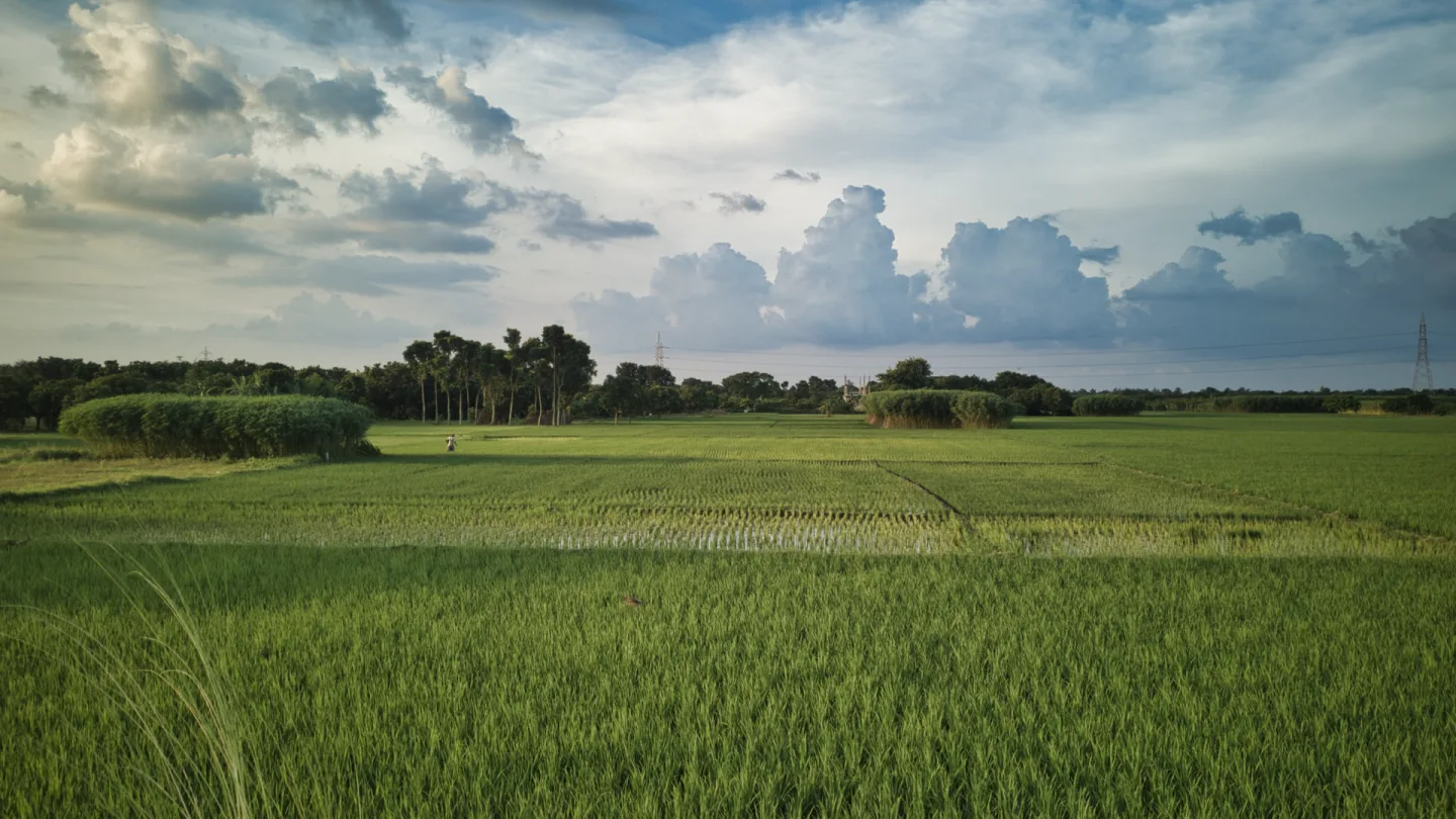 Rajshahi, Bangladesh travel banner