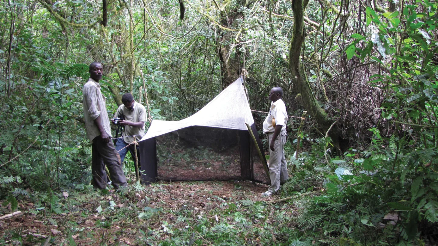 Bururi, Burundi travel banner