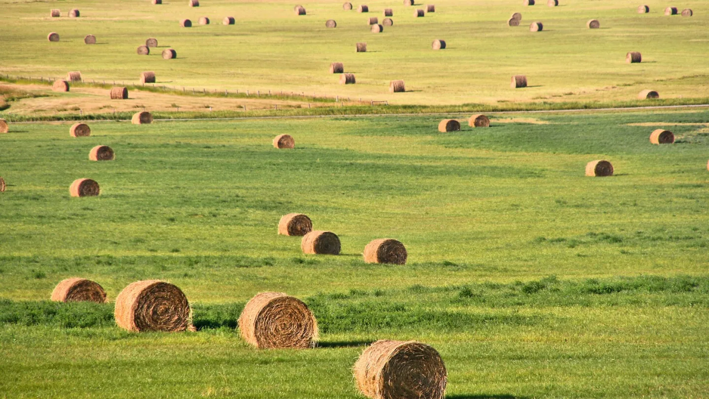 Alberta, Canada travel banner