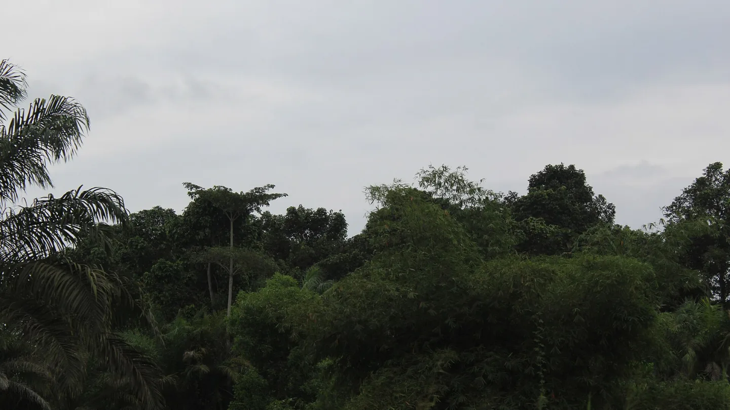 Pointe-Noire, Congo travel banner