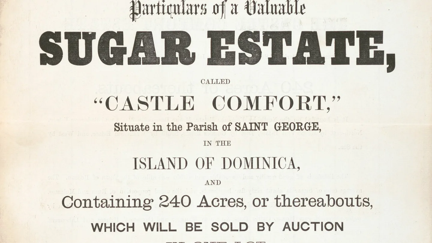 Saint George, Dominica travel banner
