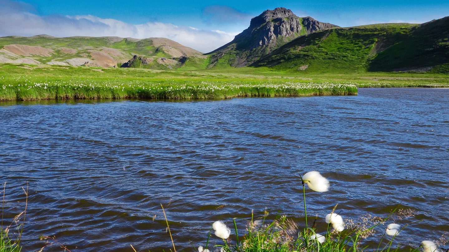 Westfjords, Iceland travel banner