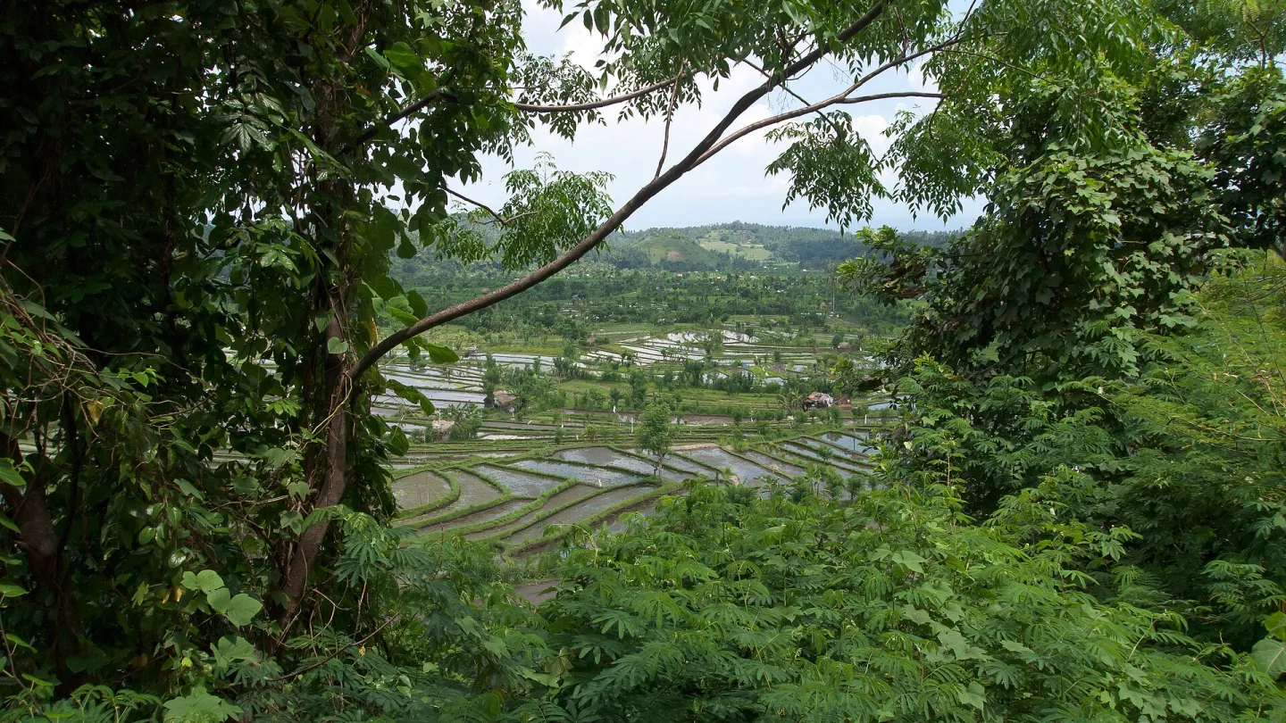 Bali, Indonesia travel banner