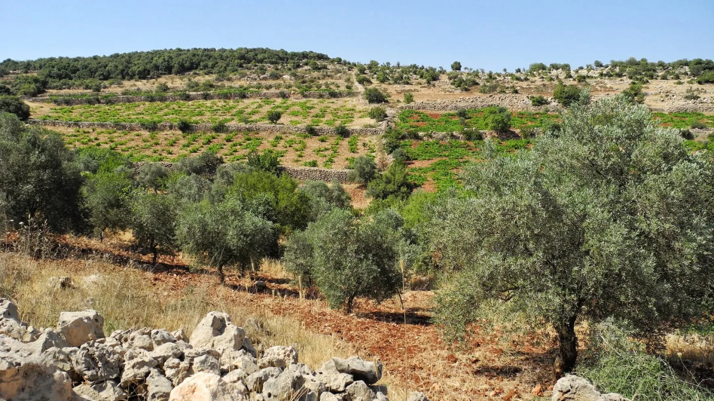 Ajloun, Jordan travel banner