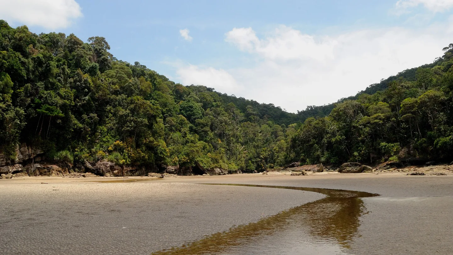 Sarawak, Malaysia travel banner