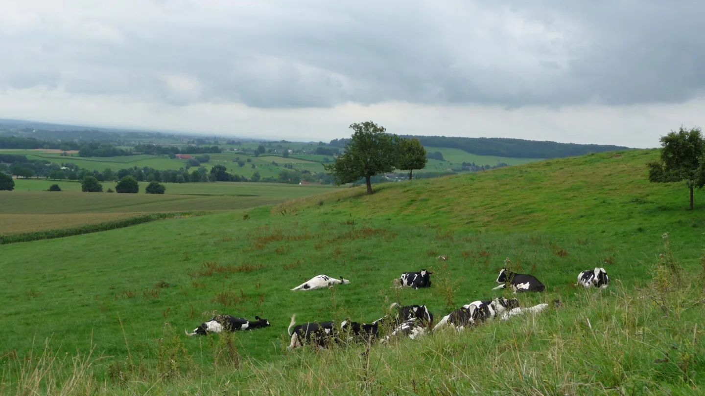 Limburg, Netherlands travel banner