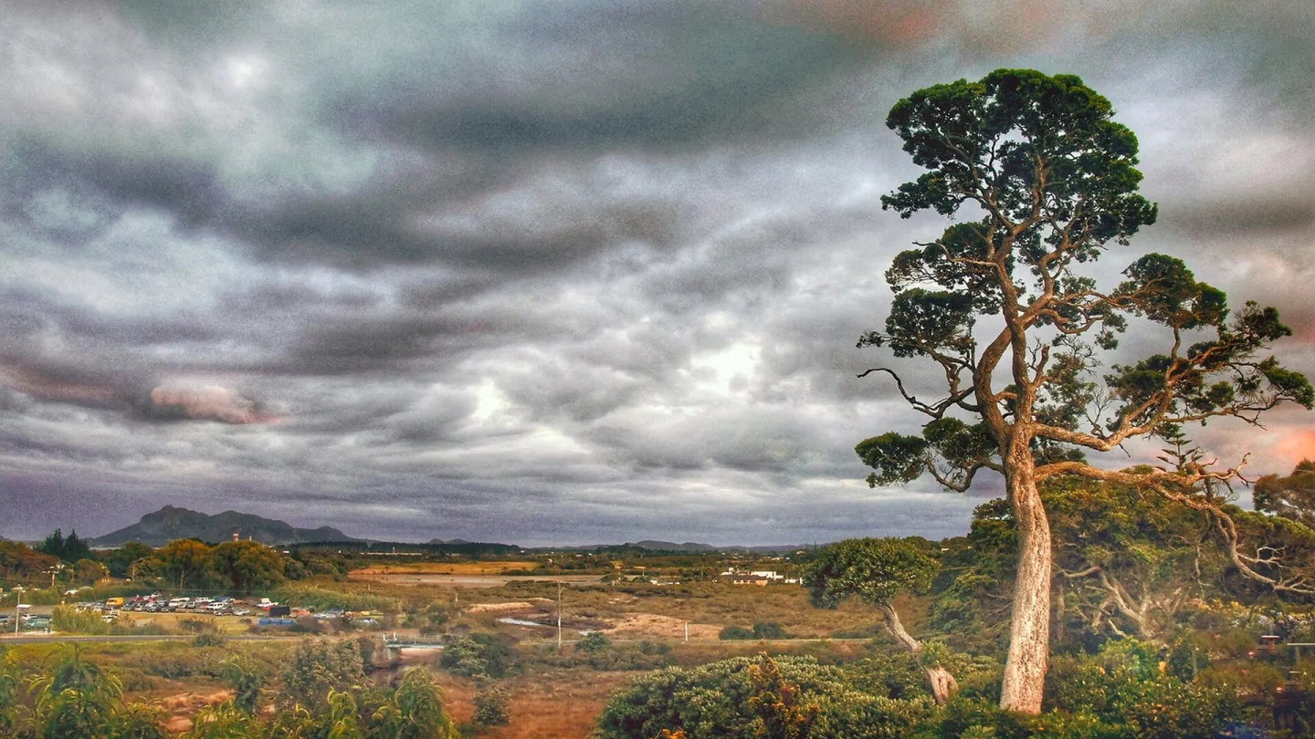 Northland, New Zealand travel banner