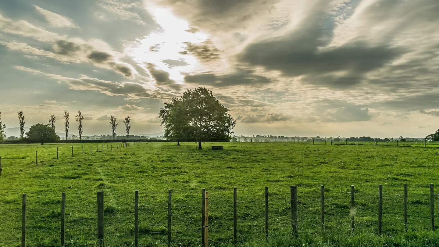 Waikato, New Zealand travel banner
