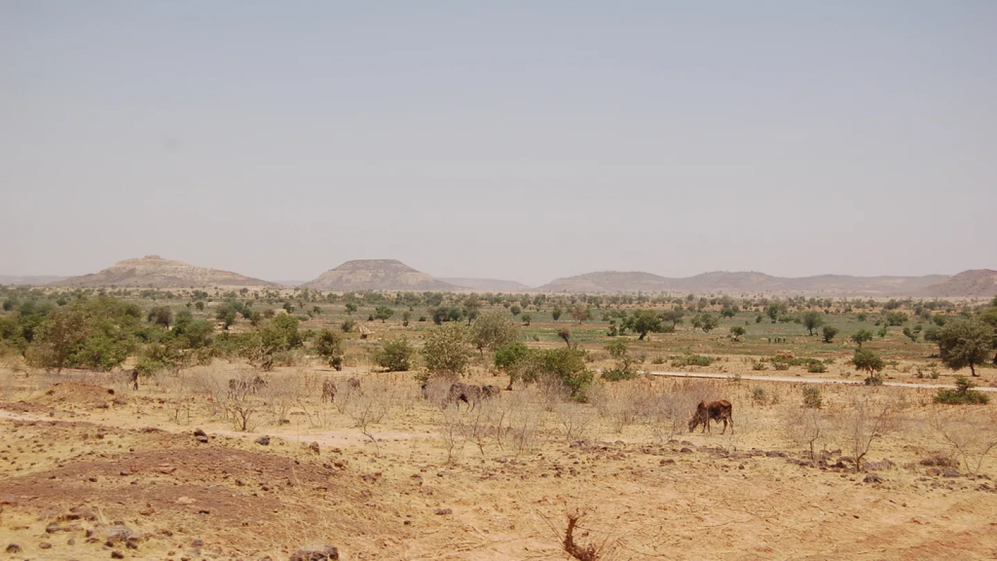 Diffa, Niger travel banner