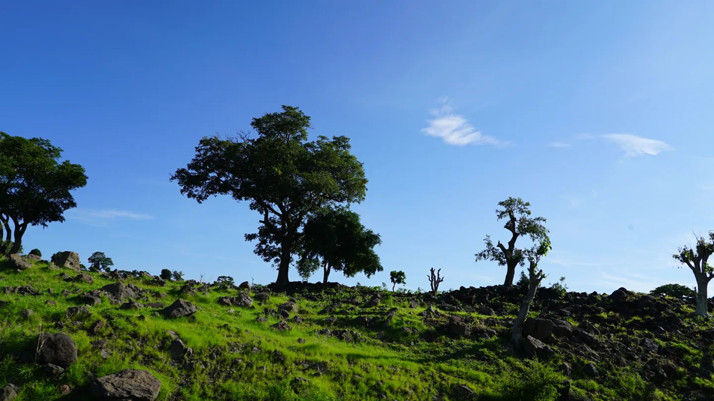 Borno, Nigeria travel banner