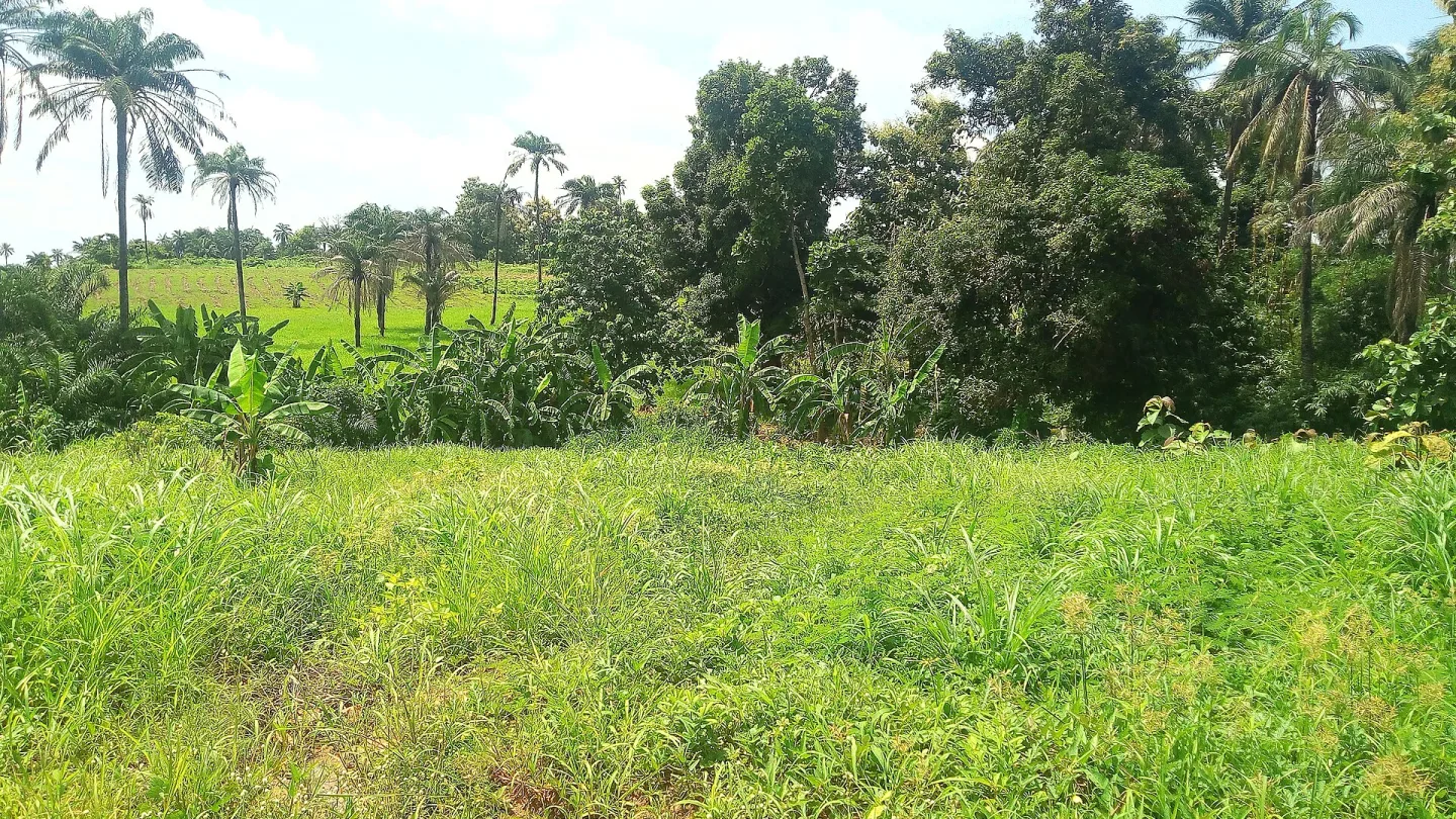 Enugu, Nigeria travel banner