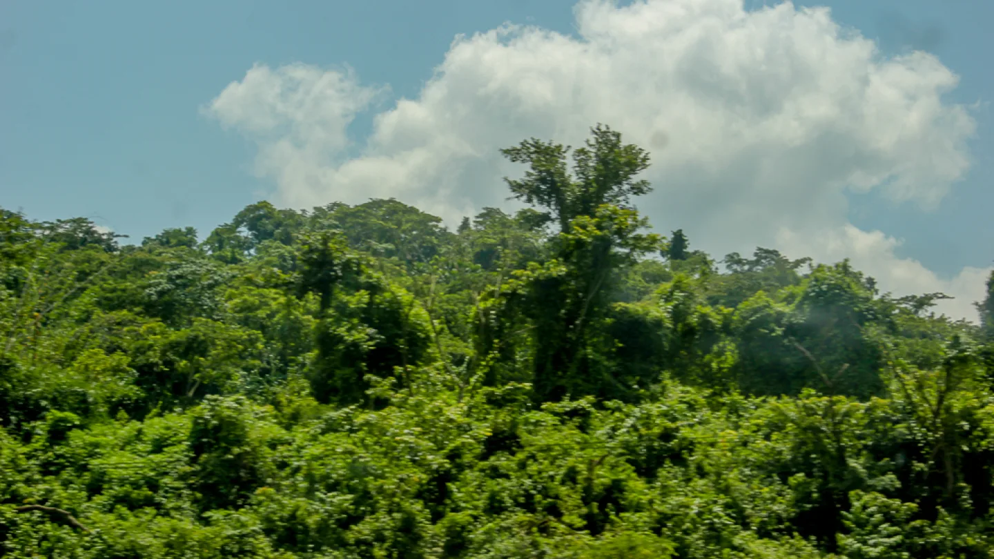 Osun, Nigeria travel banner
