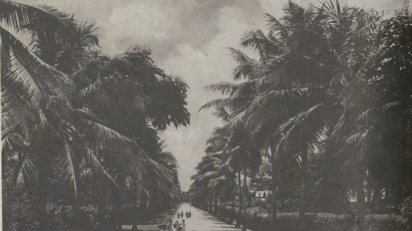 Koror, Palau travel banner