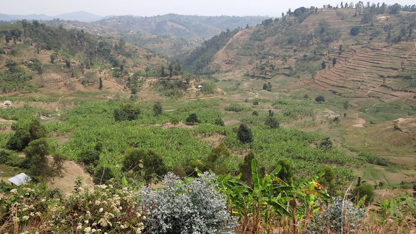 Western, Rwanda travel banner