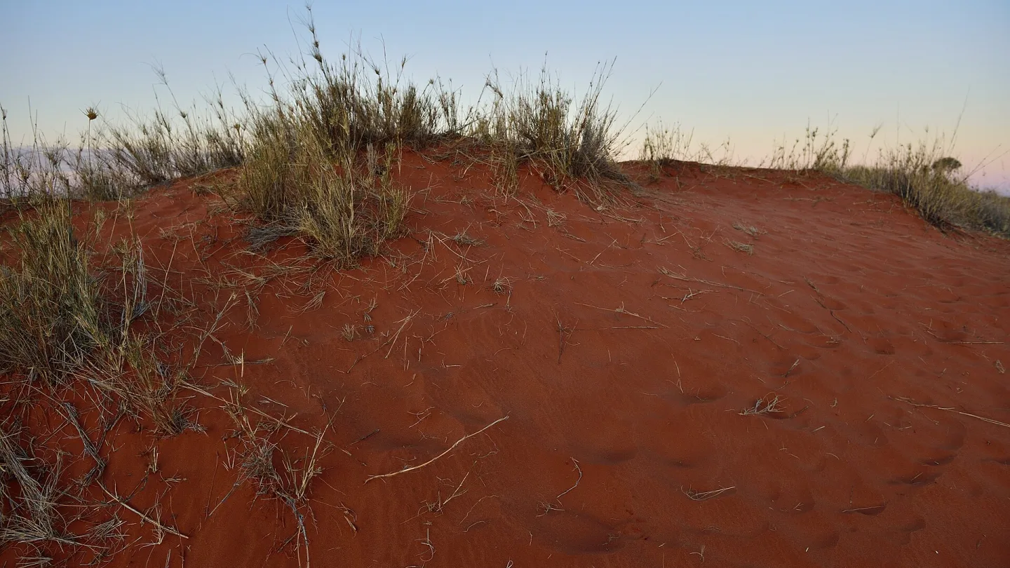 Northern Cape, South Africa travel banner
