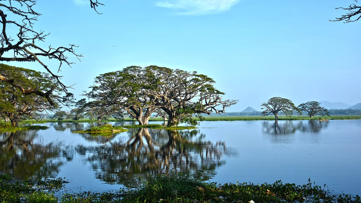 Southern, Sri Lanka travel banner