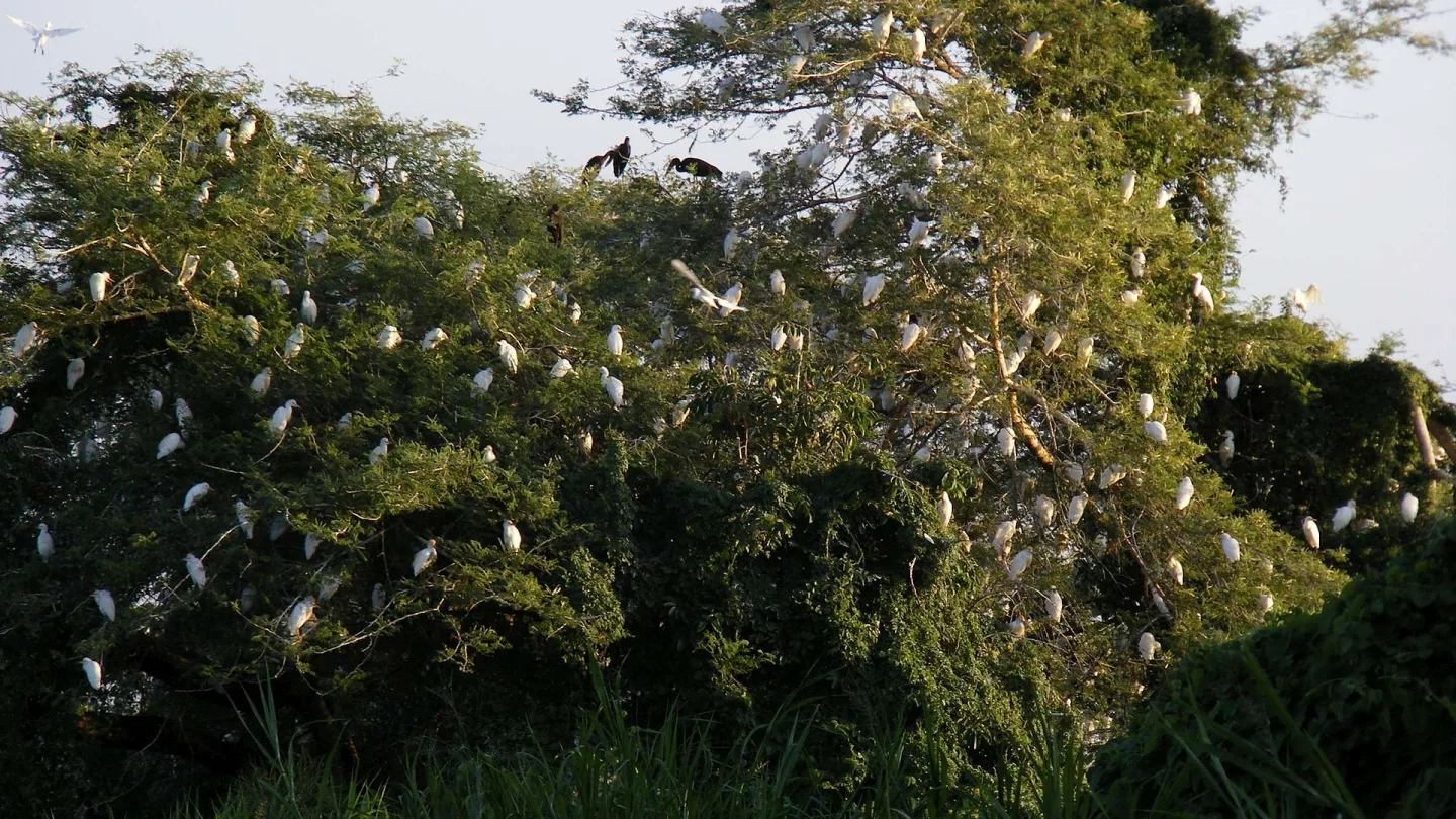 River Nile, Sudan travel banner