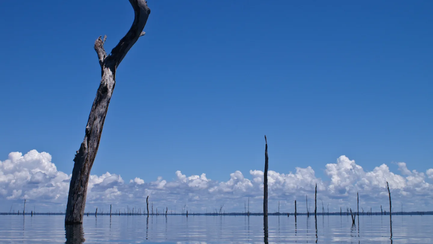 Brokopondo, Suriname travel banner