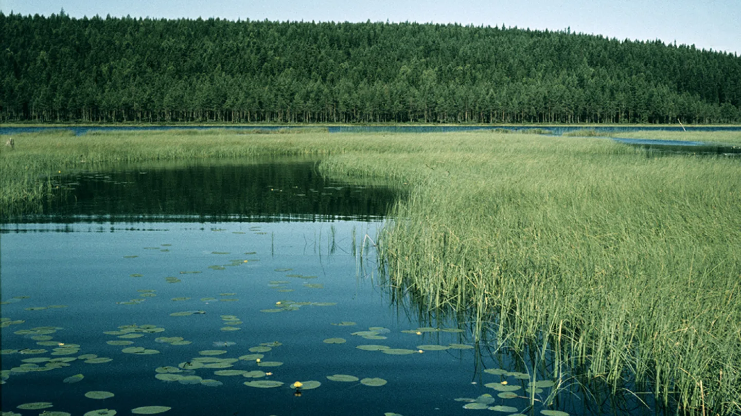 Dalarna, Sweden travel banner
