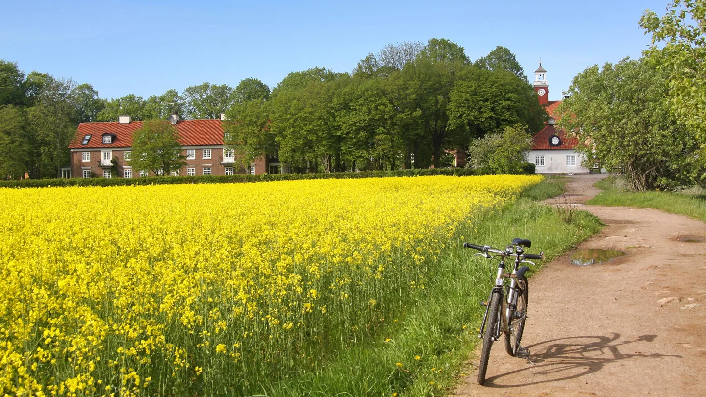 Skåne, Sweden travel banner