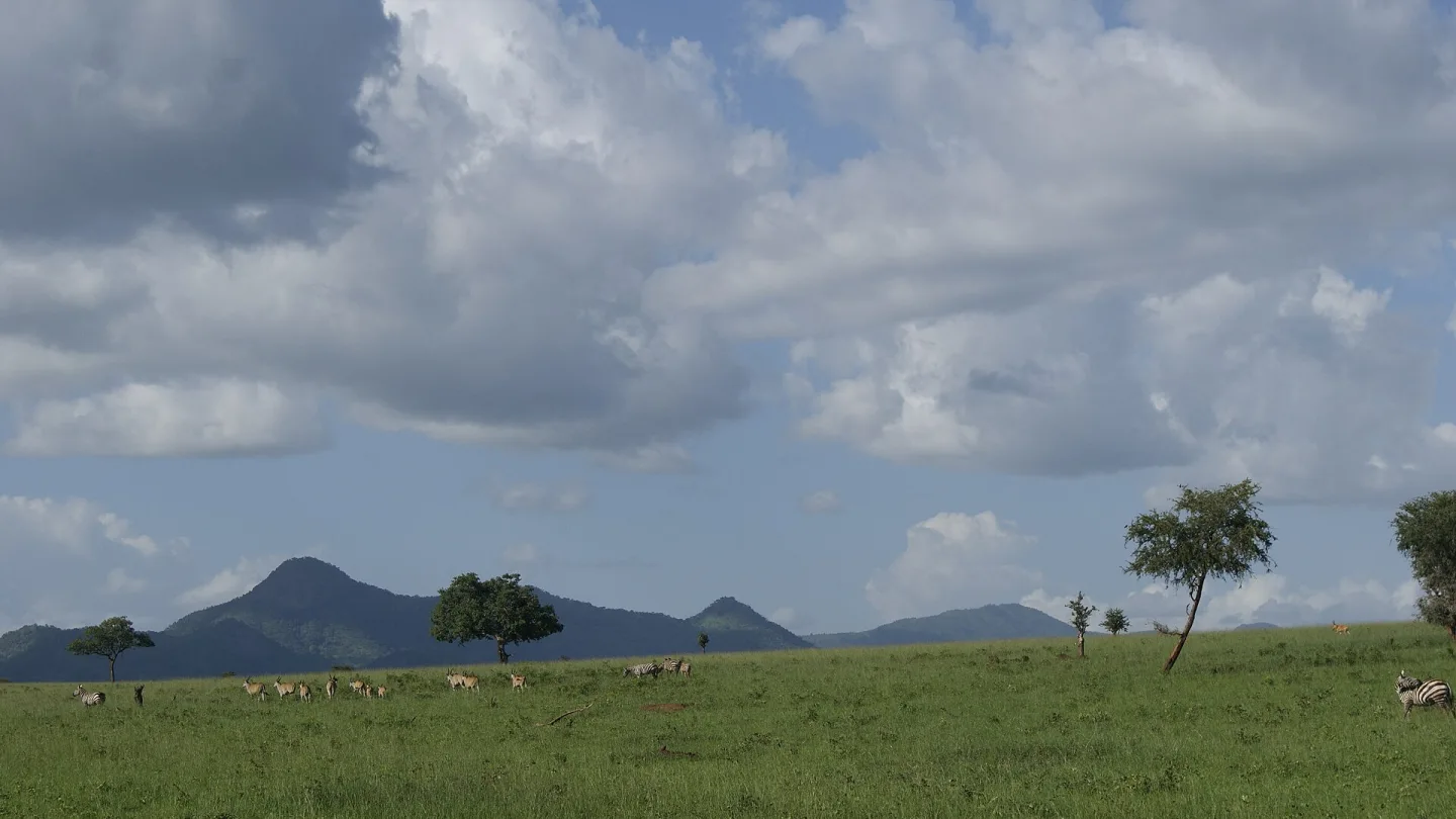 Central, Uganda travel banner
