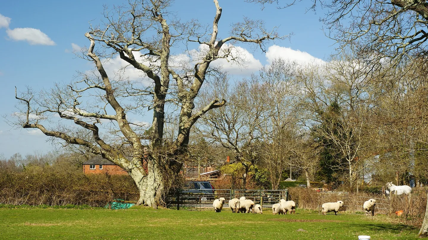 Hampshire, United Kingdom travel banner