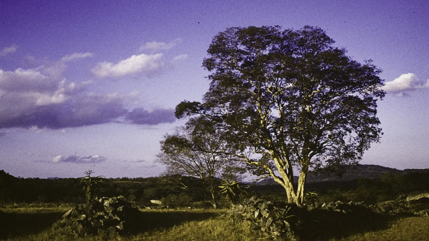 Masvingo, Zimbabwe travel banner